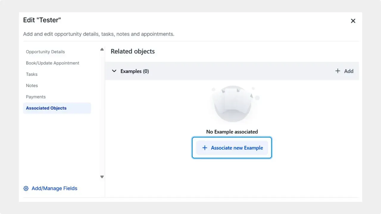 Opportunity edit view showing Associated Objects tab with 'Associate new Example' button