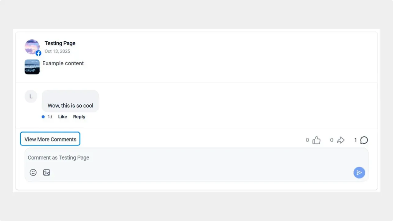 Comments area inside Social Planner showing list of posts and comments