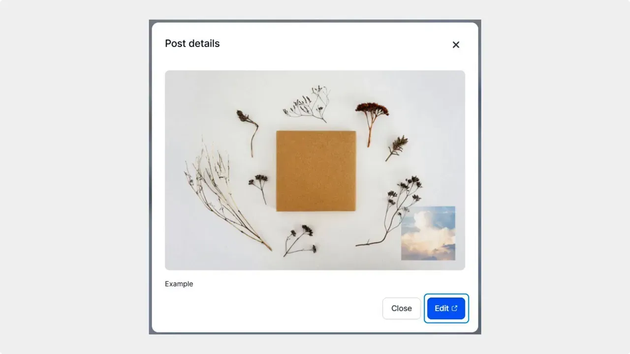 Post details modal showing a sample post image and a highlighted Edit button for quick edits