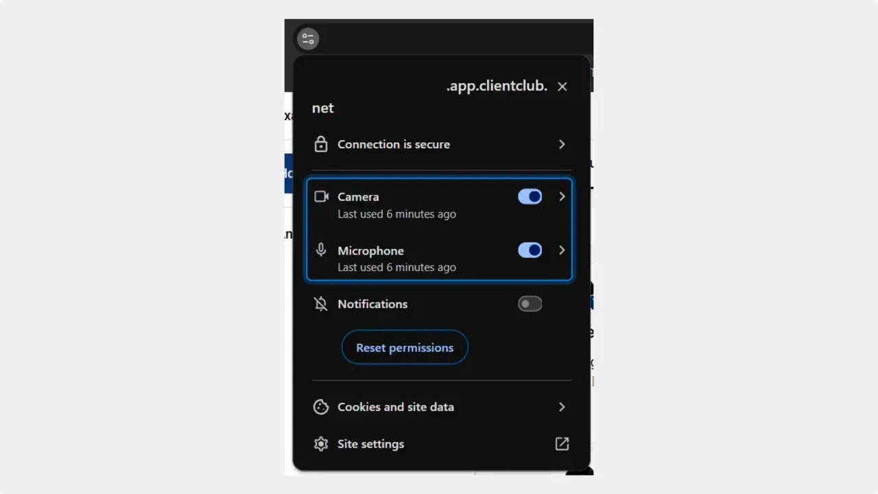 Browser site permissions popup showing camera and microphone toggles enabled for the site.